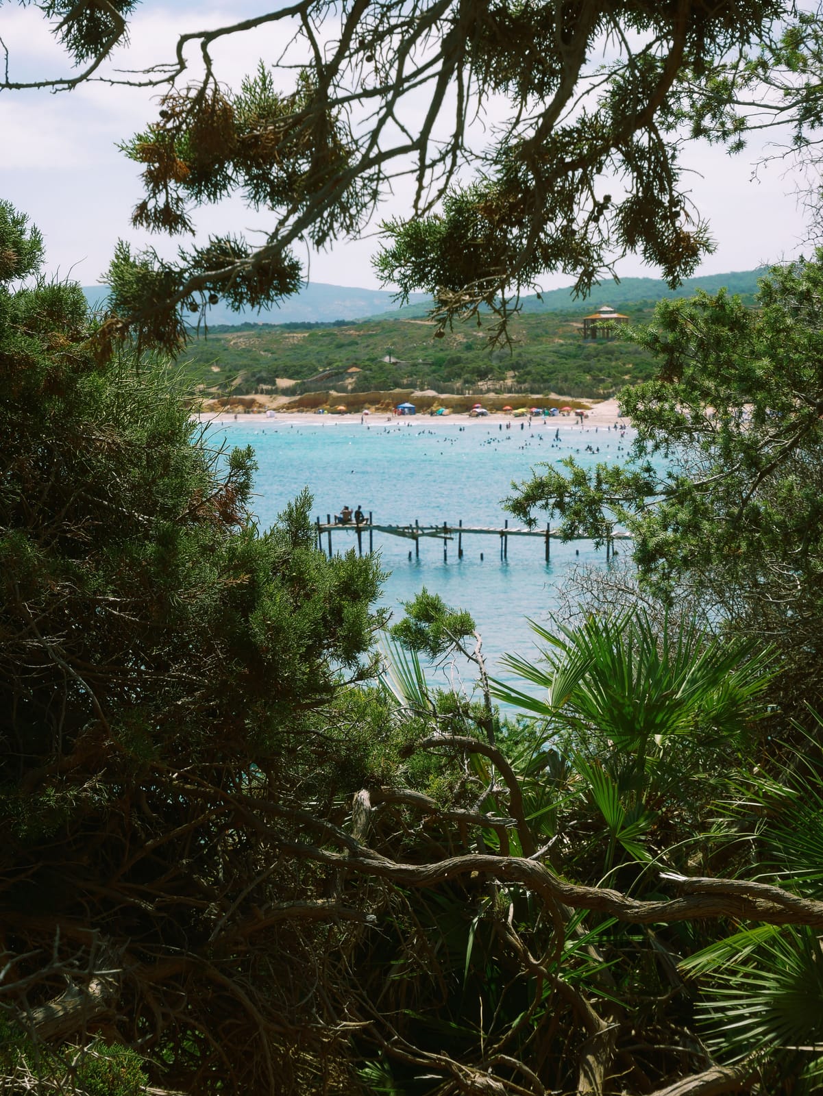 Camping & Randonnée