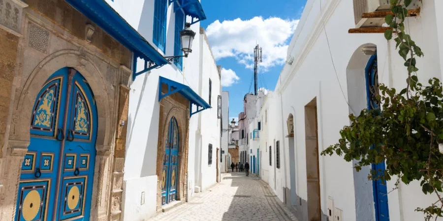 visite Sidi Bou Saïd responsable