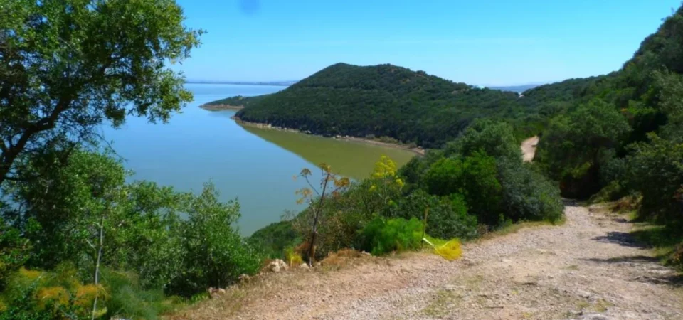 Circuit ornithologique Tunisie