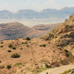 Gallery Thumbnail 0