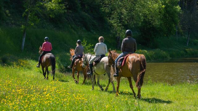 Randonnée Équestre en Kroumirie et Mogods : Une Aventure Naturelle et Authentique