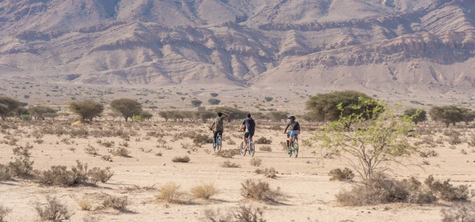 circuit Tunisie 8 jours